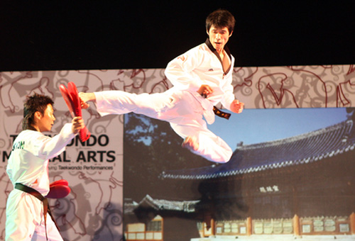 korea_try_taekwondo_01