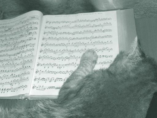 Кот и ноты