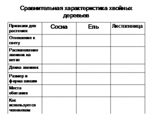 Новый рисунок