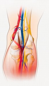 Диагностика заболеваний коленного сустава