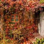 1349273839_houses-in-autumn-2