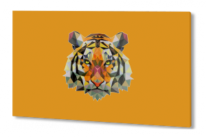 reshimost-tigr_large