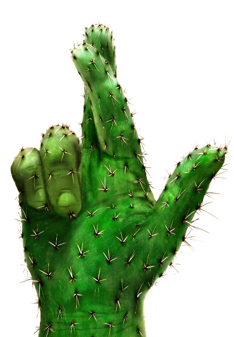 cactus-crossed